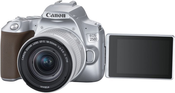 Canon EOS 250D SL 18-55 S CP EU26 - obrázek produktu