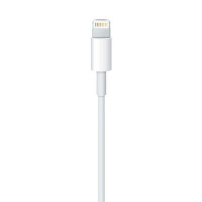 Lightning to USB Cable (2 m) - obrázek produktu