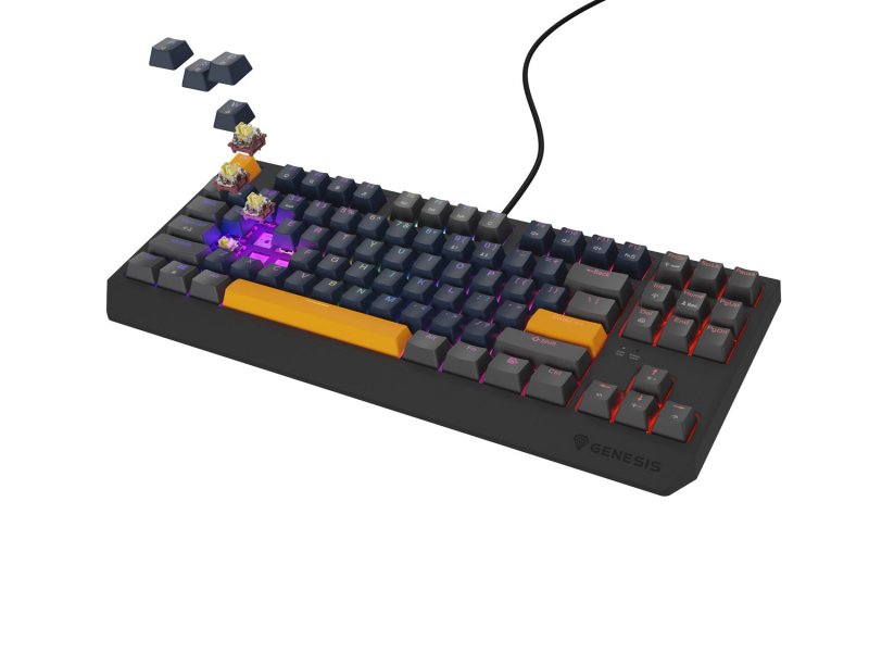 GENESIS herní klávesnice  THOR 230/ TKL/ RGB/ Outemu Panda/ Drátová USB/ US layout/ Naval Blue Positive - obrázek č. 5