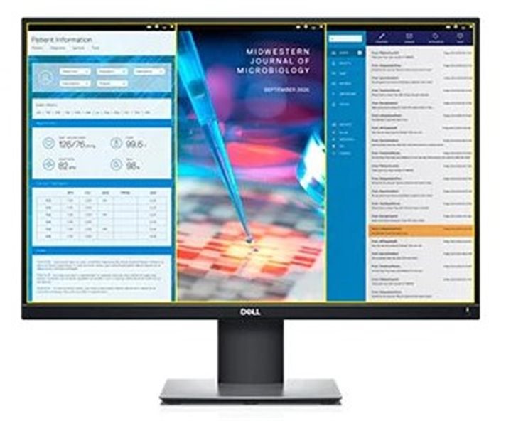24" LCD Dell P2421 Professional IPS 16:10/ 8ms/ 1000:1/ Pivot/ DP/ HDMI/ DVI/ VGA/ USB 3/ 5R-NBD - obrázek produktu