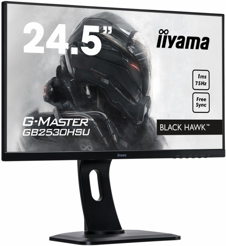 25" iiyama G-Master GB2530HSU-B1 - TN,FullHD,1ms,250cd/ m2, 1000:1,16:9,HDMI,DP,VGA,repro,pivot,výška - obrázek č. 1