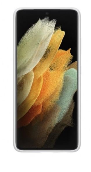 Samsung Silikonový zadní kryt pro S21 Ultra Light Gray - obrázek č. 1