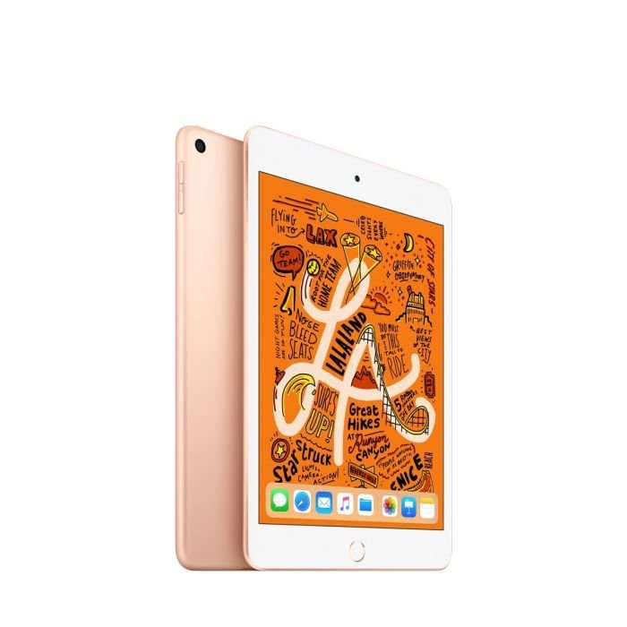 Apple iPad mini Wi-Fi + Cellular 256GB - Gold /  SK - obrázek č. 1