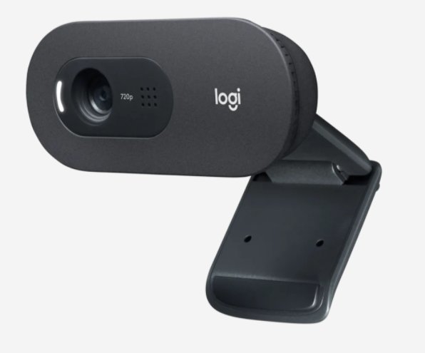webová kamera Logitech HD Webcam C505 - obrázek č. 2