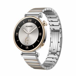 Huawei Watch GT 4/ 41mm/ Silver/ Elegant Band/ Silver  (AURORA-B19T)