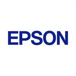 Epson Small cleaning stick  (C13S210152)