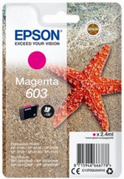 Epson singlepack, Magenta 603  (C13T03U34010)