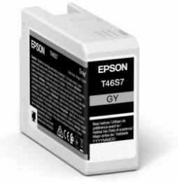 Epson Singlepack Gray T46S7 Ultrachrome  (C13T46S700)