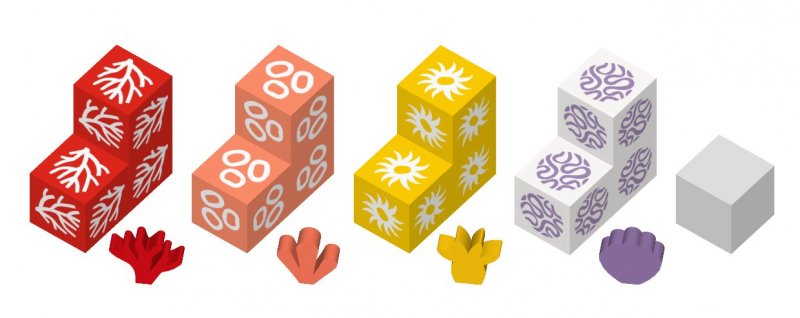 Korál - obrázek č. 4