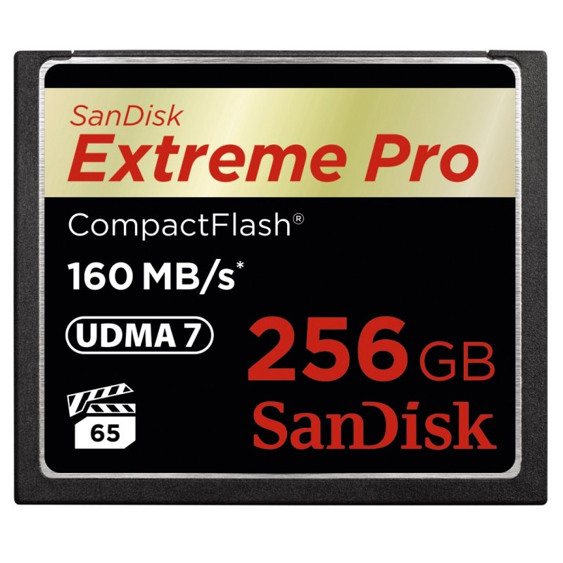 SanDisk Extreme Pro CompactFlash 256GB 160MB/ s - obrázek produktu