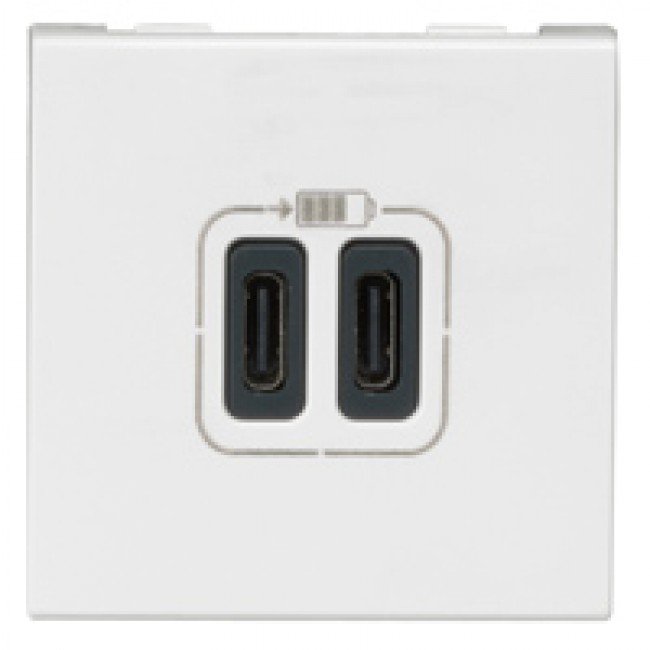 Double USB Type-C + Type-C charging sockets Mosaic - obrázek produktu