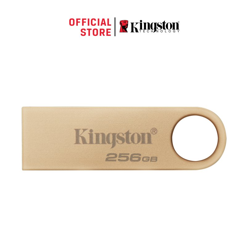 256GB Kingston USB 3.2 DTSE9 220/ 100MB/ s - obrázek produktu
