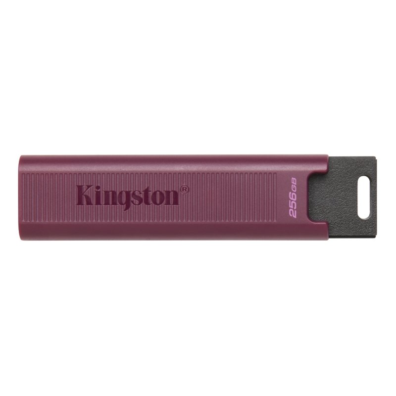 256GB Kingston DT Max USB-A 3.2 gen. 2 - obrázek produktu