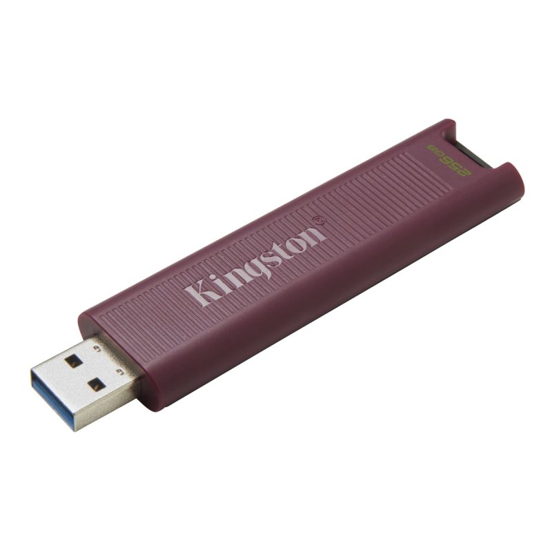 256GB Kingston DT Max USB-A 3.2 gen. 2 - obrázek č. 1
