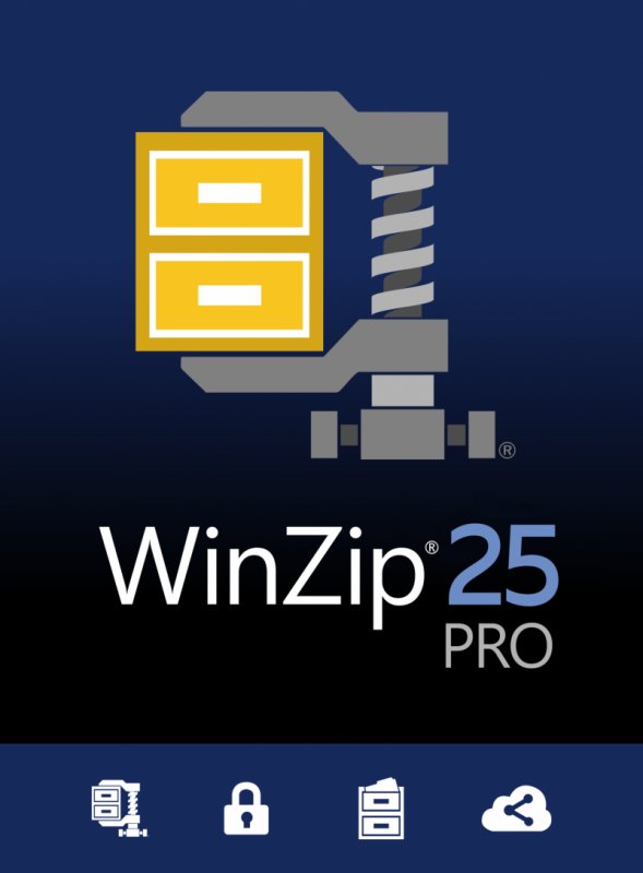 WinZip 25 Pro ML DVD - obrázek produktu
