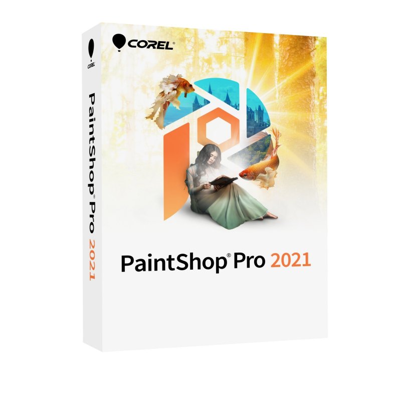 PaintShop Pro 2021 EN Mini-Box - obrázek produktu