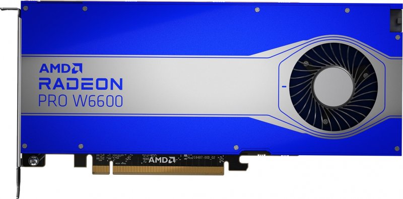 HP AMD Radeon Pro W6600/ 8GB/ GDDR6 - obrázek produktu