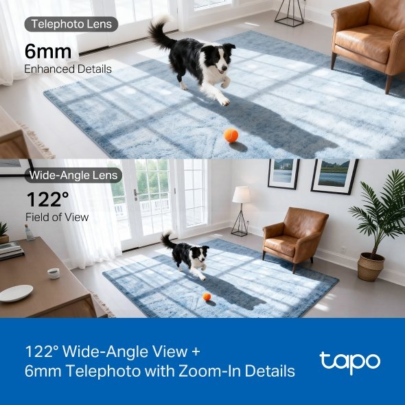 Tapo C245D Dual Lens Pan / Tilt Security Camera - obrázek č. 6