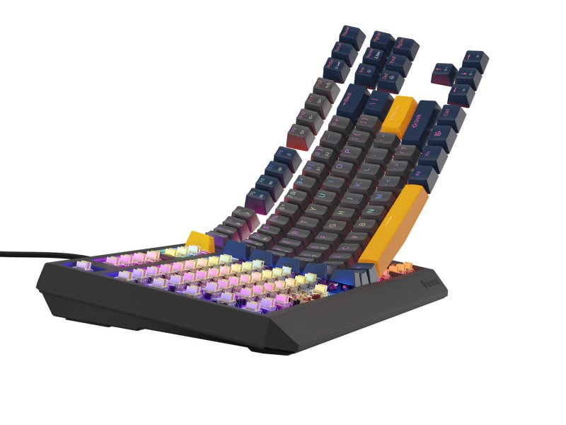 GENESIS herní klávesnice THOR 230/ TKL/ RGB/ Outemu Panda/ Drátová USB/ US layout/ Naval Blue Negative - obrázek č. 8