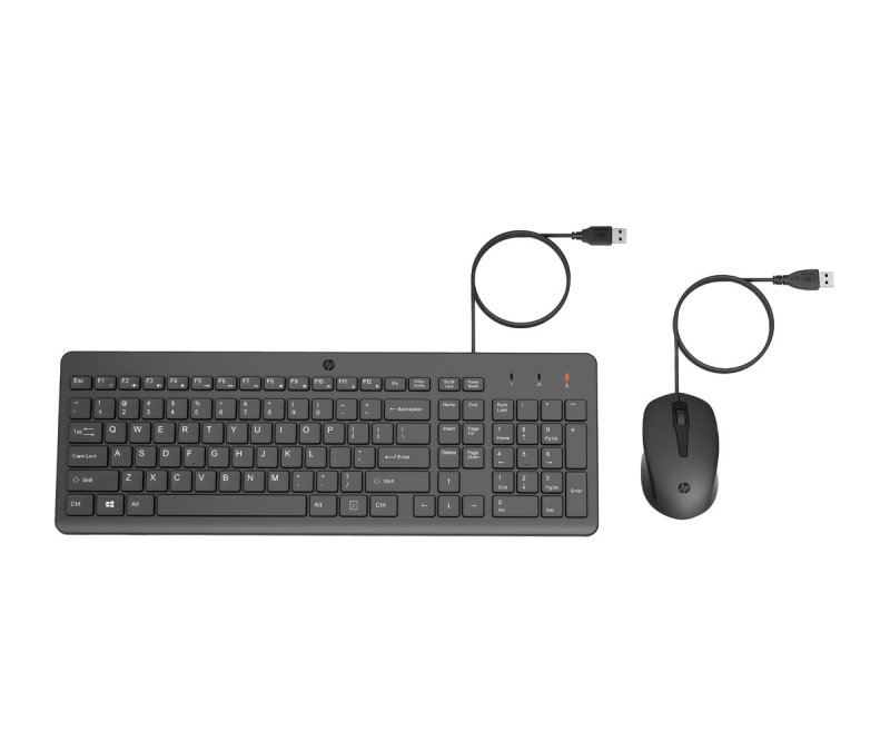 HP- 150 Wired Mouse and Keyboard HUN - obrázek produktu
