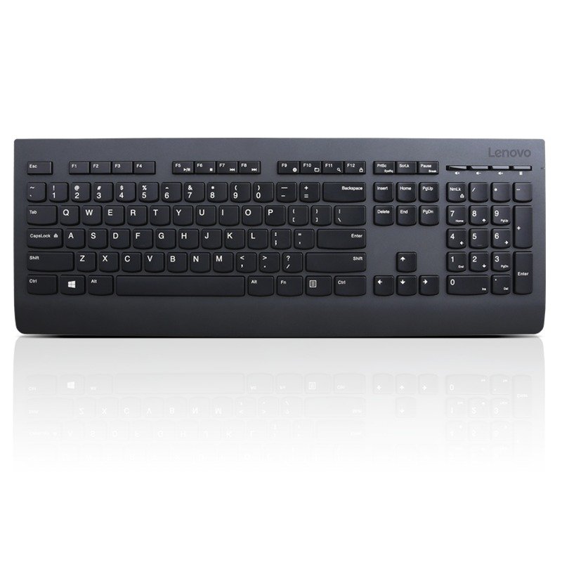 Lenovo Professional Wireless Keyboard / Bezdrátové USB / CZ / SK / Černá - obrázek produktu
