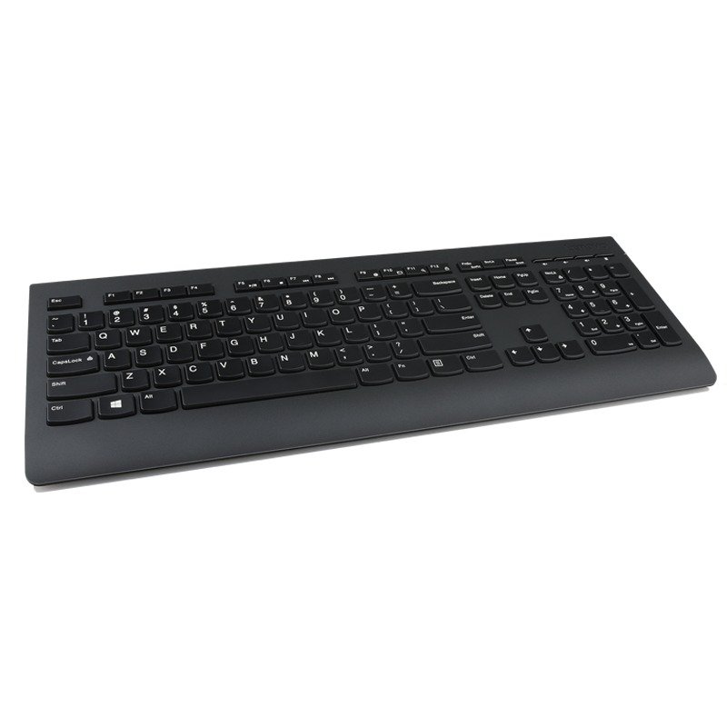 Lenovo Professional Wireless Keyboard / Bezdrátové USB / CZ / SK / Černá - obrázek č. 1