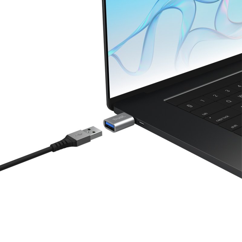 TRUST CALYX USB-C TO USB-A ADAPTER 2PACK - obrázek č. 1