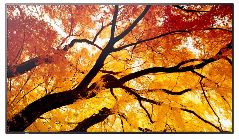 NEC Sharp MultiSync / M502 / 50" / VA / 4K UHD / 60Hz / 8ms / Černá - obrázek produktu