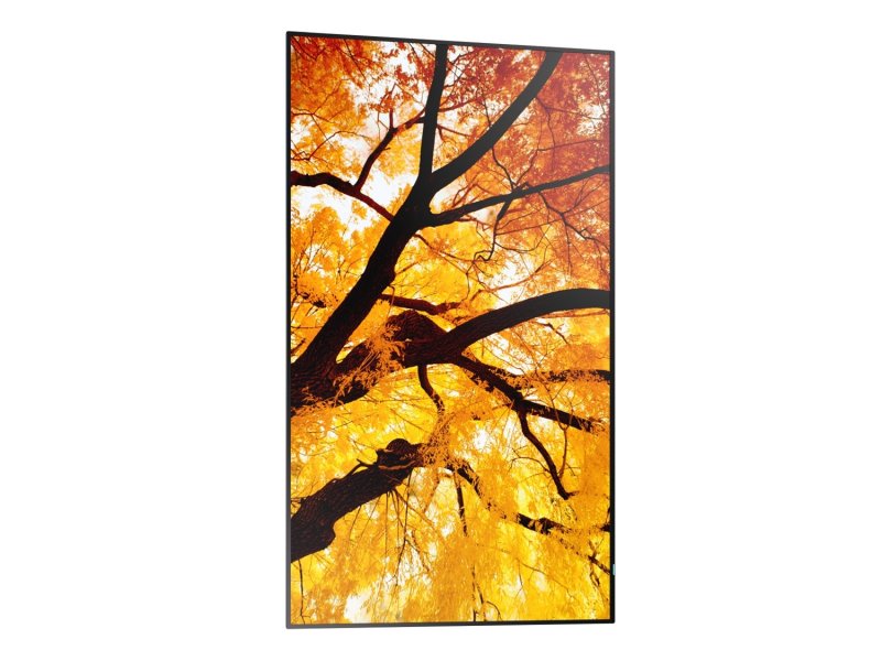 86" LCD SHARP M862,3840x2160,IPS,24 / 7,500cd - obrázek č. 6