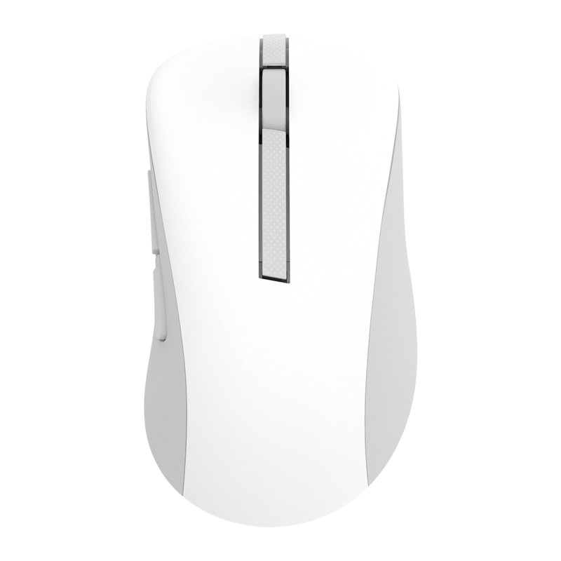 ASUS Wireless Mouse MD102 / Kancelářská / Optická / Pro praváky / 1 600 DPI / USB+BT / Bílá - obrázek produktu