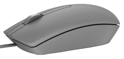 Dell myš, optická MS116, USB, šedá - obrázek produktu