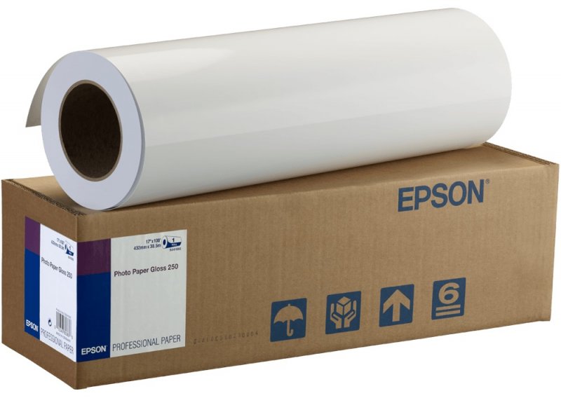 EPSON Proofing Paper White Semimatte 17"x30,5m,250 - obrázek produktu