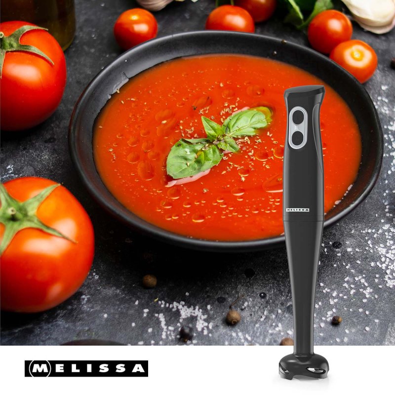 Ruční mixér | 400 W | 2 rychlosti  16210070 - obrázek č. 1