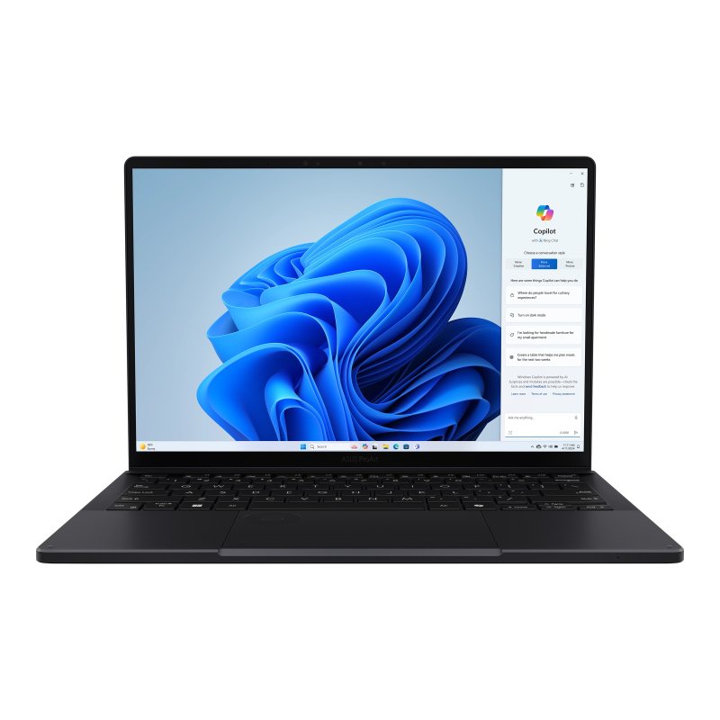 ASUS ProArt PX13 / HN7306EA-OLED080X / AIMAXPLUS-395 / 13,3" / 2880x1800 / T / 64GB / 1TB / AMD int / W11P / Black - obrázek produktu