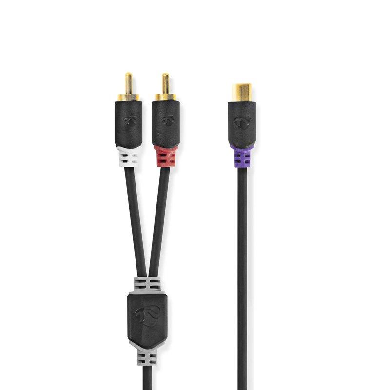 Stereo Audio Kabel | 2x RCA Zástrčka  CABW24020AT02 - obrázek produktu