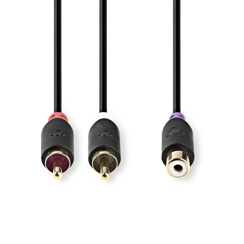 Stereo Audio Kabel | 2x RCA Zástrčka  CABW24020AT02 - obrázek č. 1