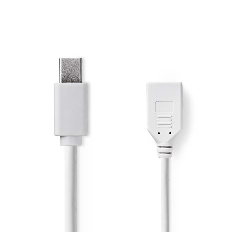 Mini DisplayPort kabel | DisplayPort 1.2 | Mini DisplayPort Zástrčka | DisplayPort Zásuvka | 21.6 Gbps | Poniklované | 0.20 m | - obrázek produktu