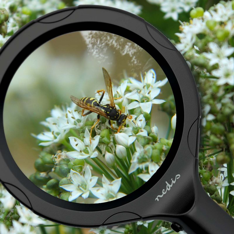 Ruční lupa | Čočka: 4 Diopter  MAGH1BK - obrázek č. 12