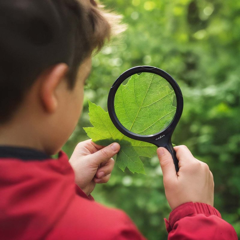 Ruční lupa | Čočka: 4 Diopter  MAGH1BK - obrázek č. 13