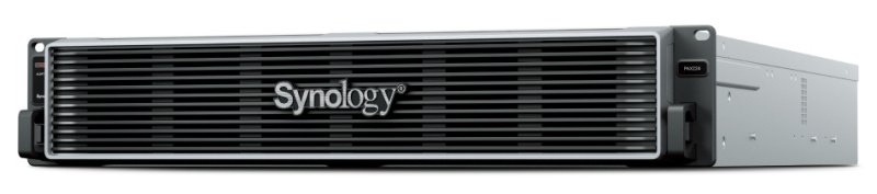 Synology PAX224 - obrázek produktu