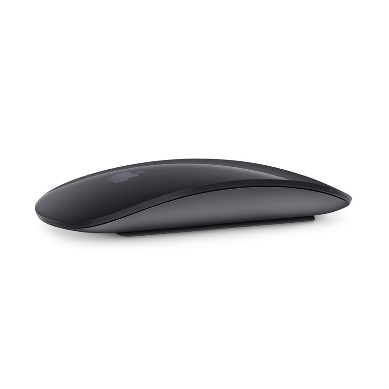Magic Mouse 2 - Space Grey - obrázek produktu