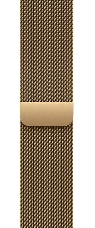 Watch Acc / 40 / Radiant Gold Milanese Loop - obrázek produktu