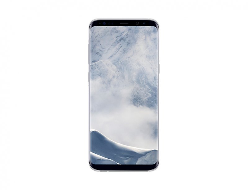 Samsung Clear Cover pro S8+ (G955) Silver - obrázek produktu