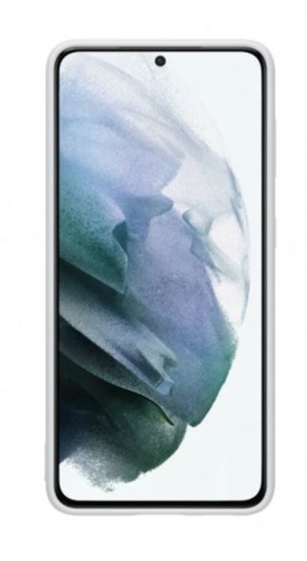 Samsung Silikonový zadní kryt pro S21+ Light Gray - obrázek č. 1