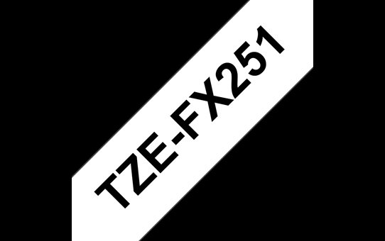 TZE-FX251, černý tisk na bílé, šířka 24 mm - obrázek č. 2