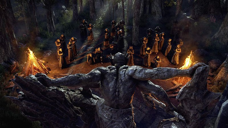 PC - The Elder Scrolls Online Coll.:Blackwood - obrázek č. 2