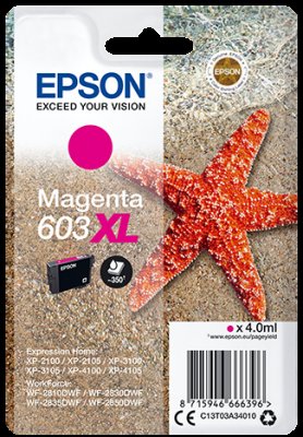 EPSON siglepack, Magenta 603XL - obrázek produktu