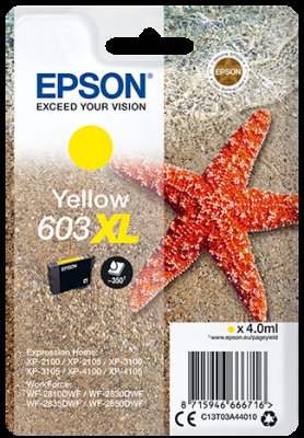 Epson singlepack, Yellow 603XL - obrázek produktu