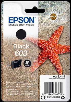 Epson singlepack, Black 603 - obrázek produktu