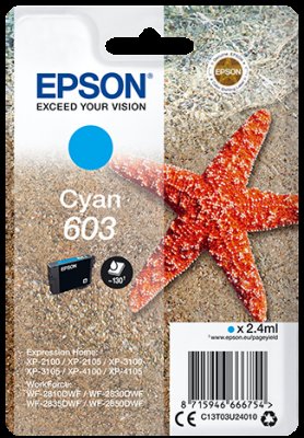 Epson singlepack, Cyan 603 - obrázek produktu